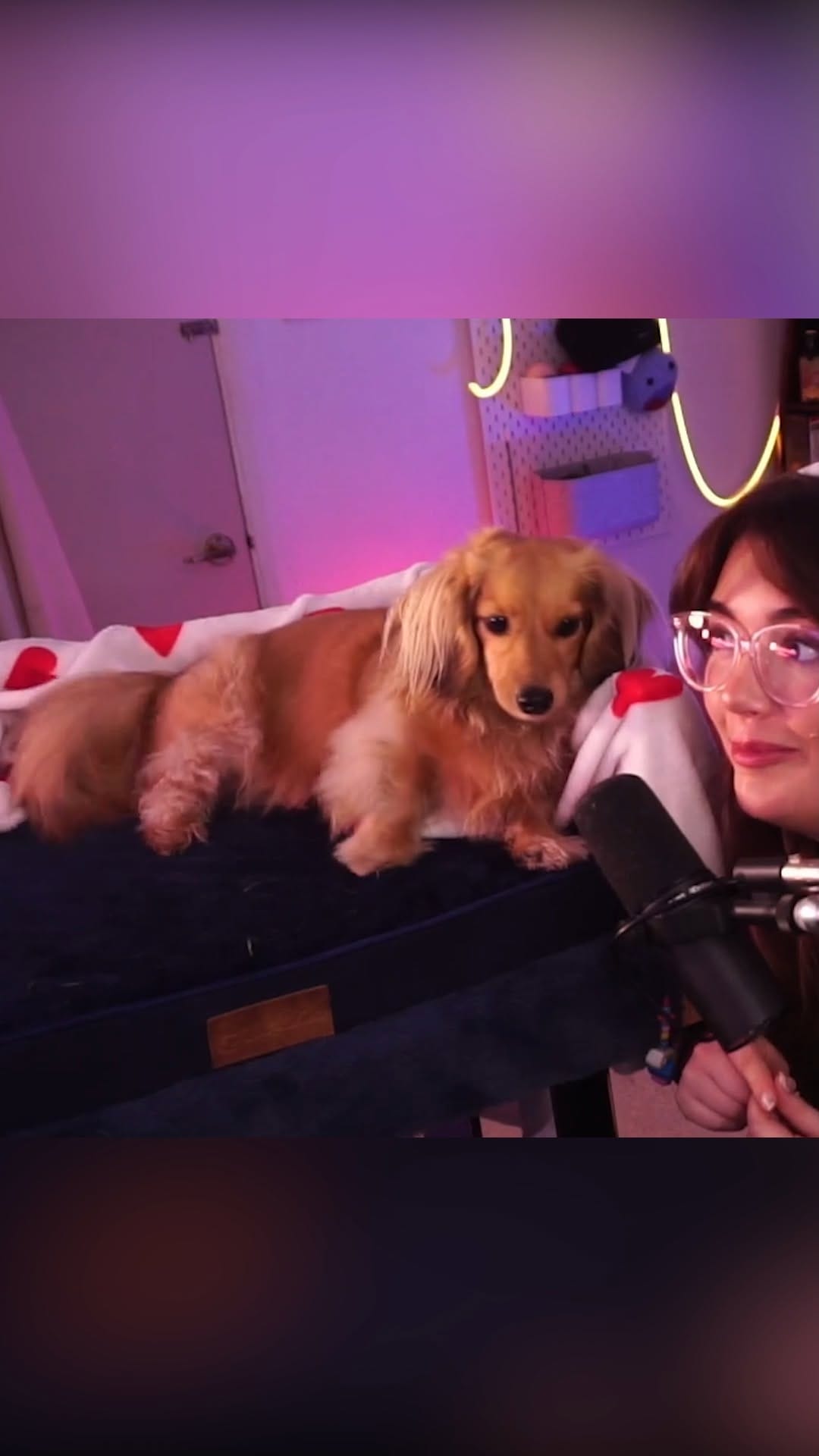 Post 6 by poopernoodle on Instagram (video)
