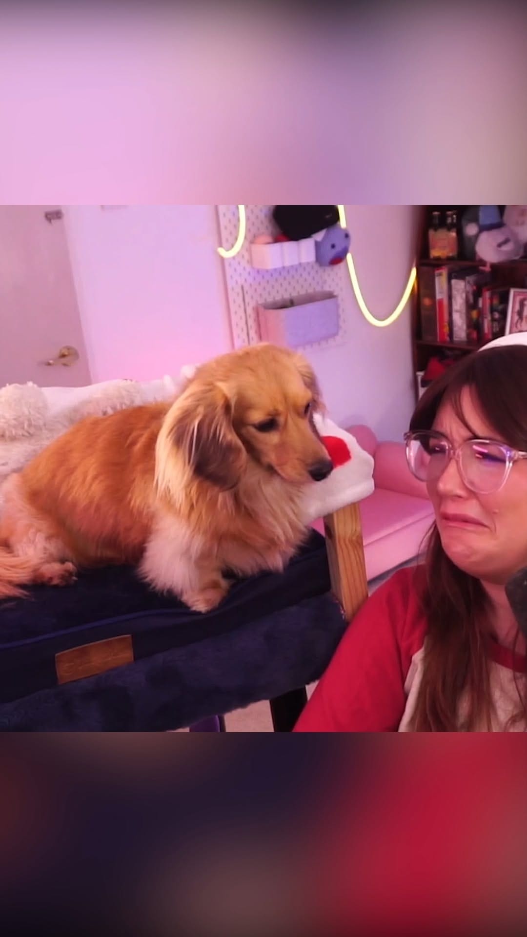 Post 7 by poopernoodle on Instagram (video)