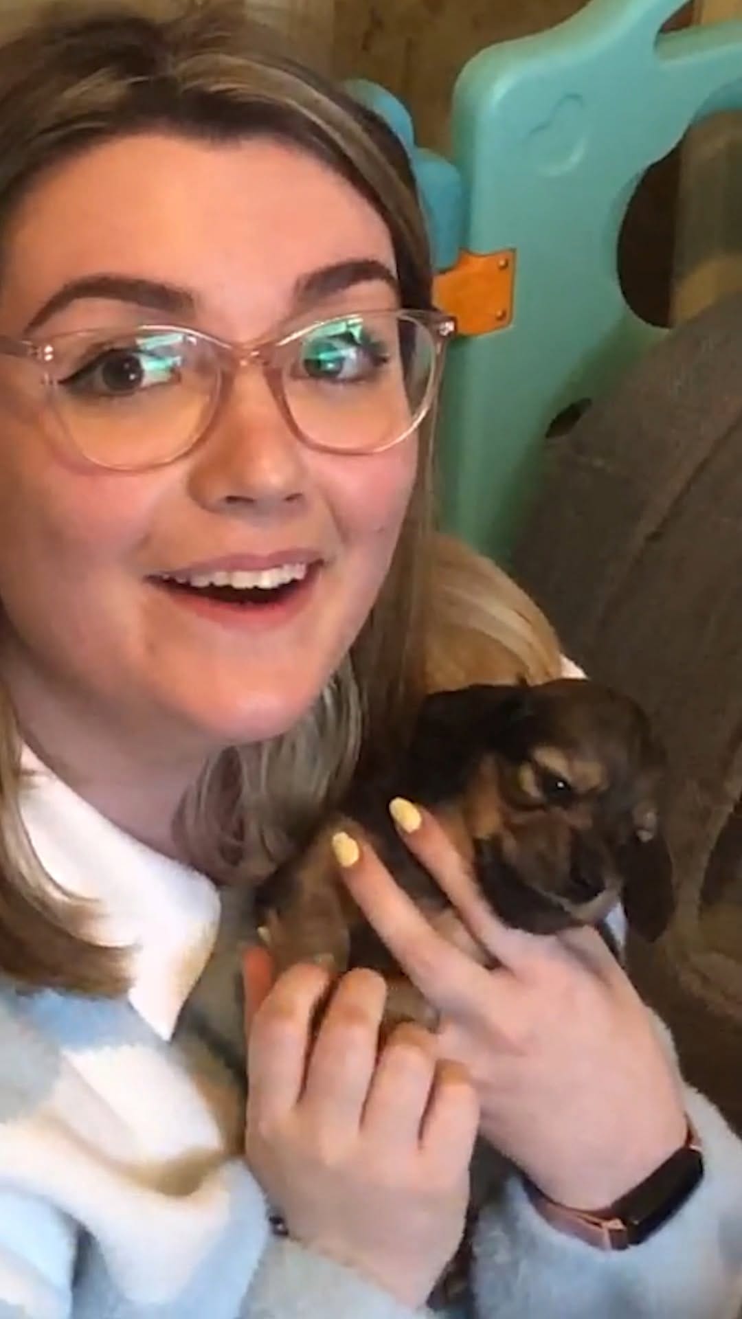 Post 3 by poopernoodle on Instagram (video)
