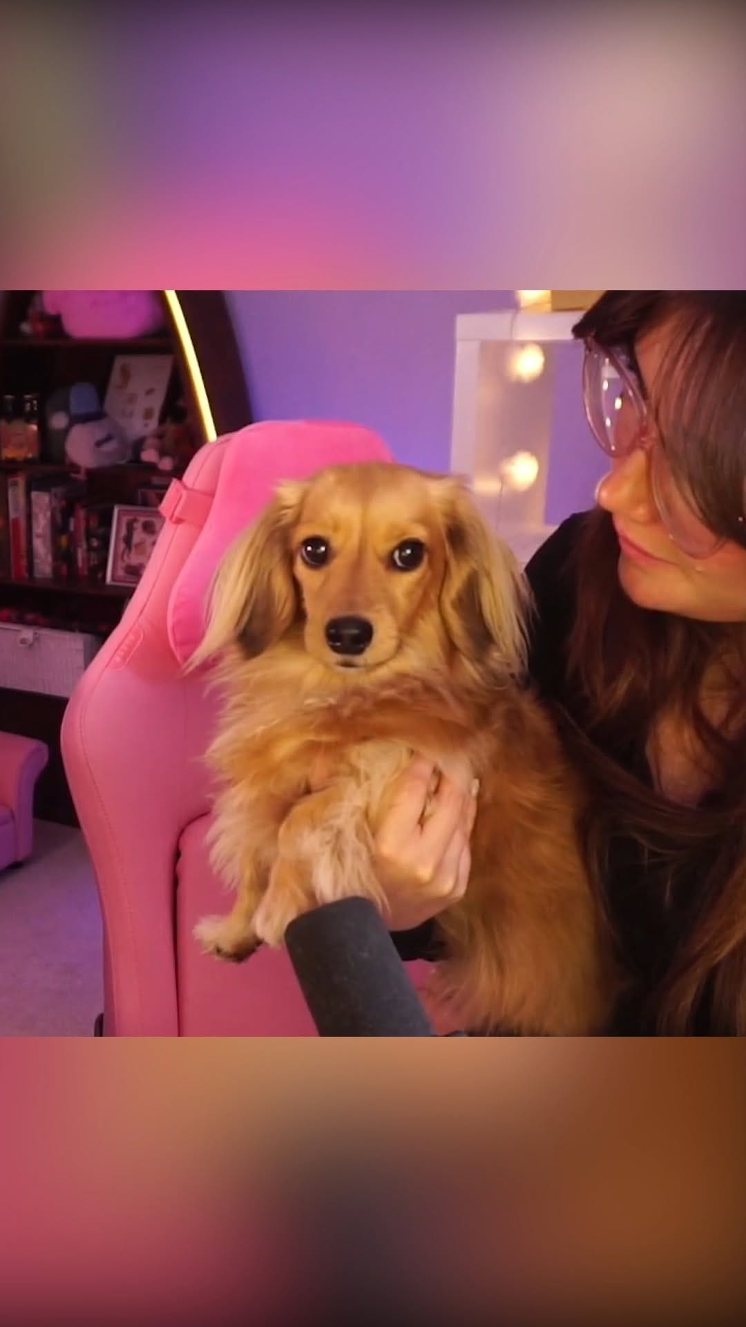 Post 4 by poopernoodle on Instagram (video)
