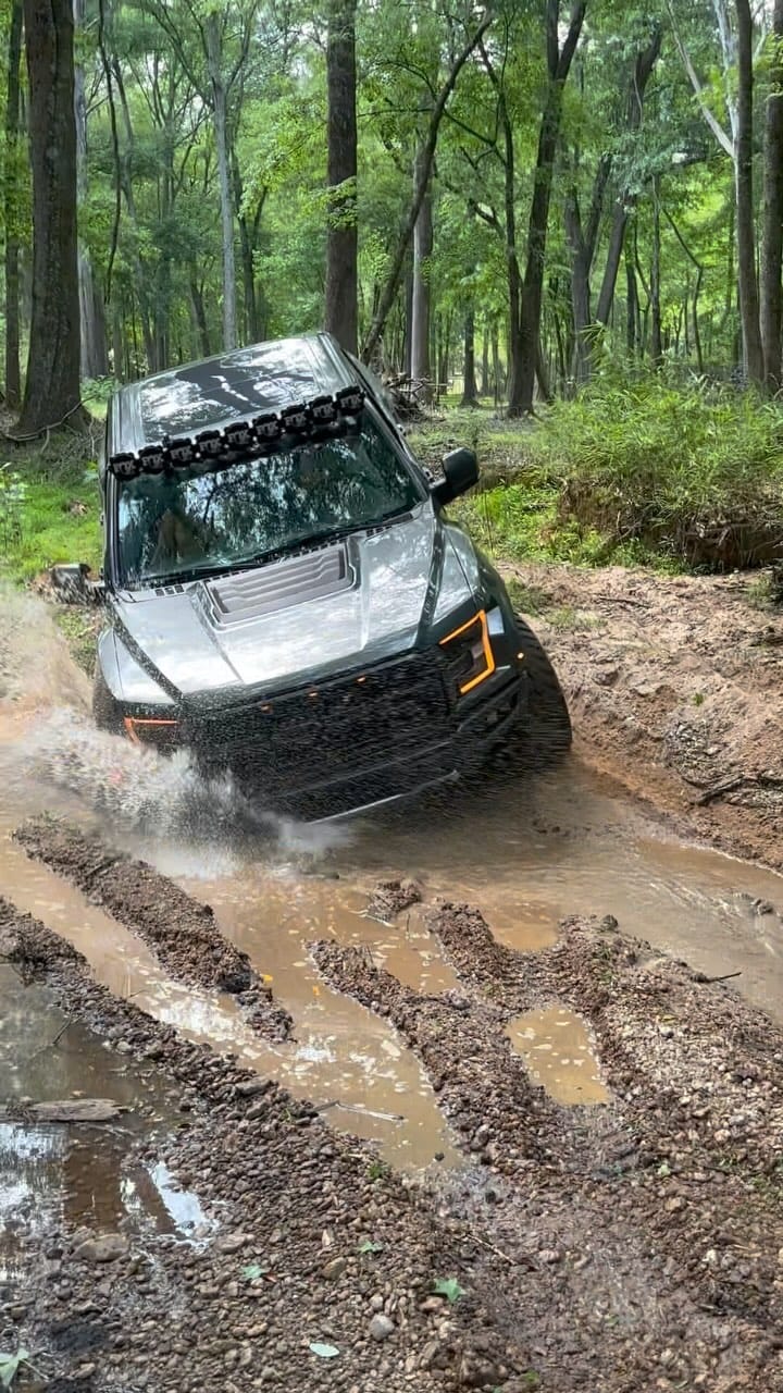Post 10 by Neal Sheppard on Instagram (video)