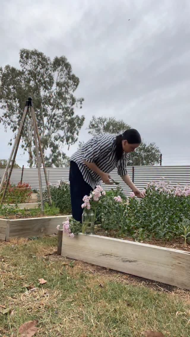 Post 3 by HOME LIVING STYLE | Tahnee Holland on Instagram (video)
