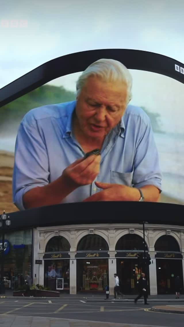 Post 3 by Michael Haluwana on Instagram (video)