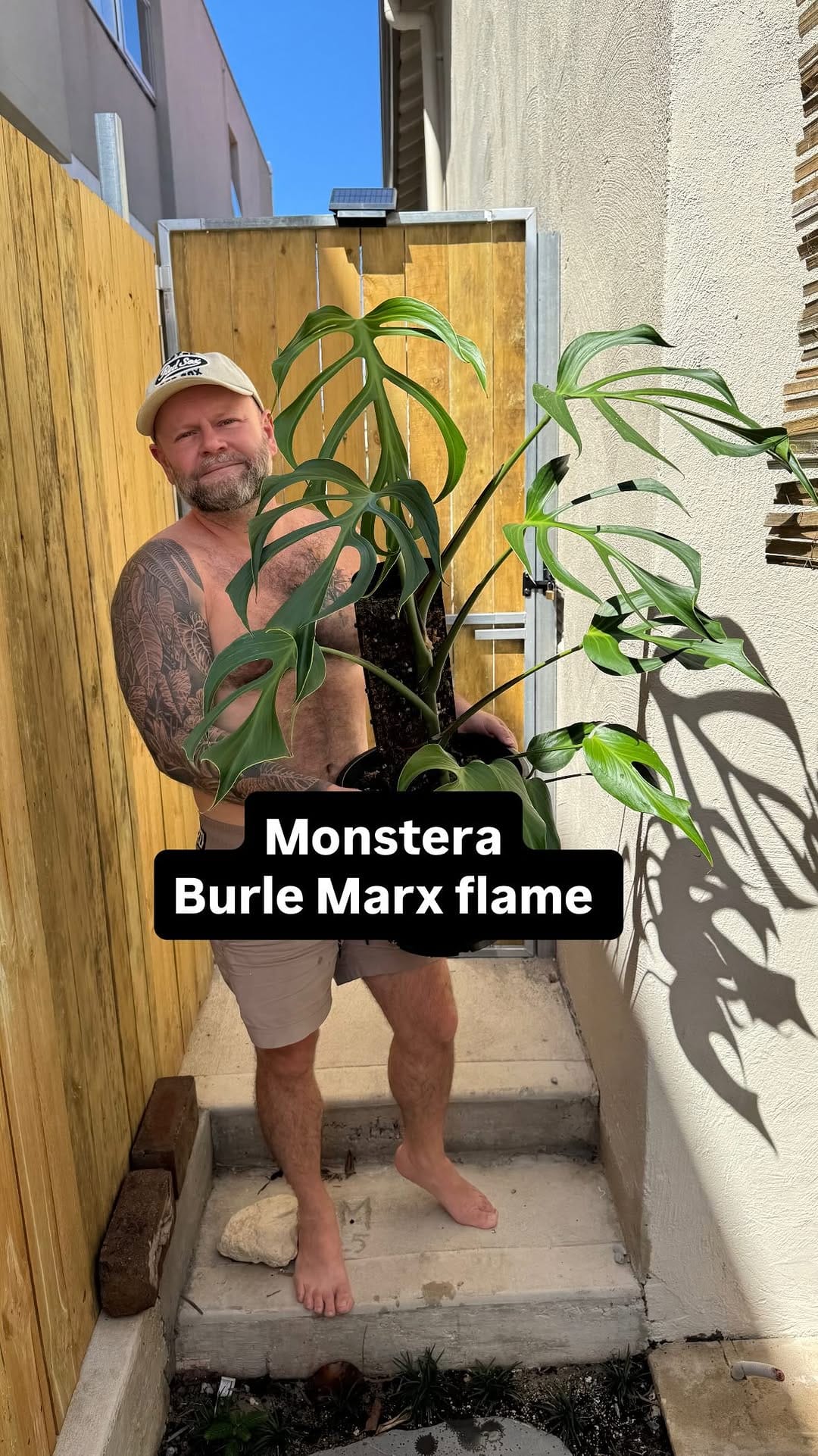 Post 8 by Urban Jungle Sydney on Instagram (video)