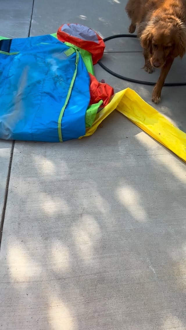 Post 2 by Alyson Fouse on Instagram (video)