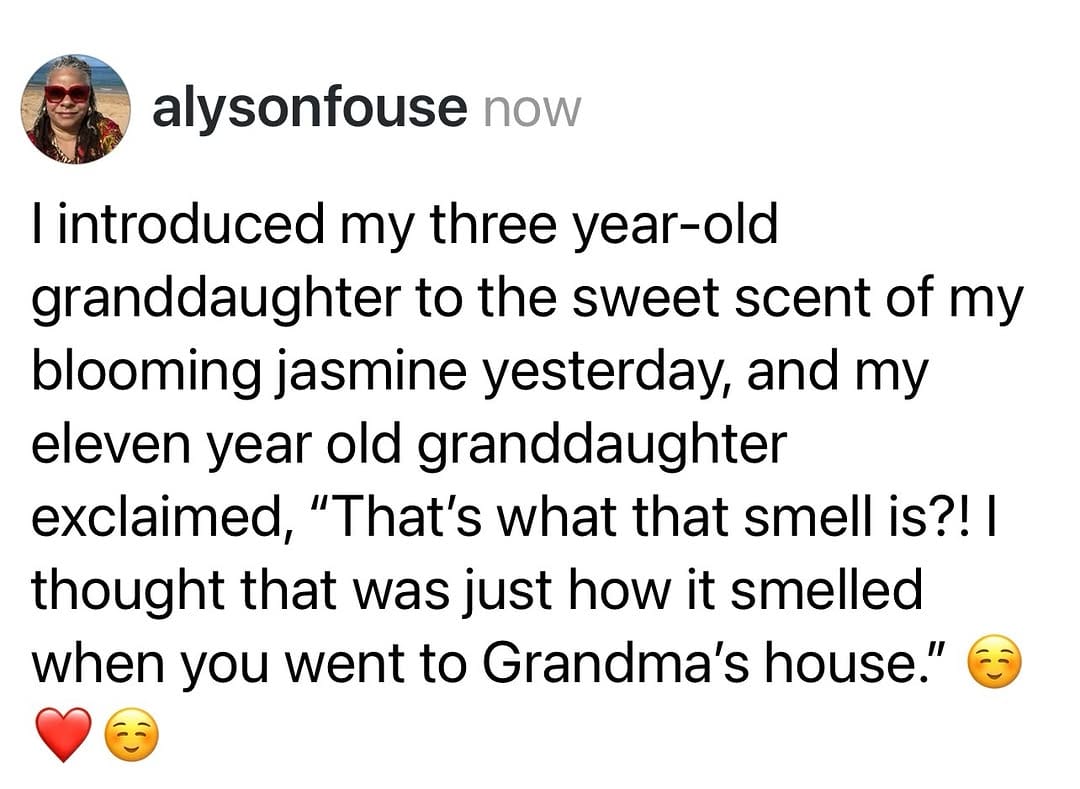 Post 3 by Alyson Fouse on Instagram (image)