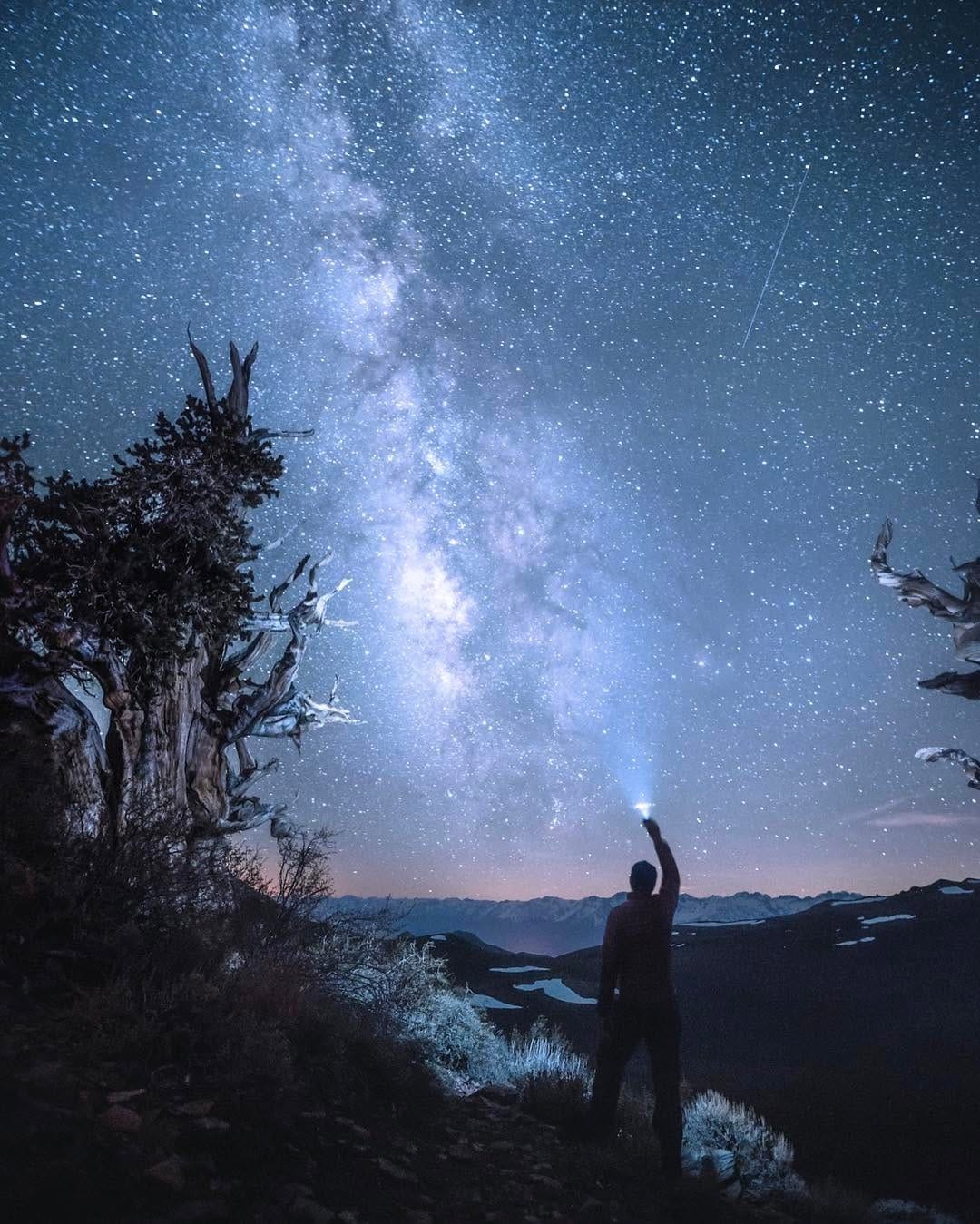 Post 3 by Scott Vogel on Instagram (image)