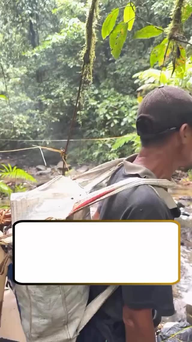 Post 1 by keju mozarella on Instagram (video)
