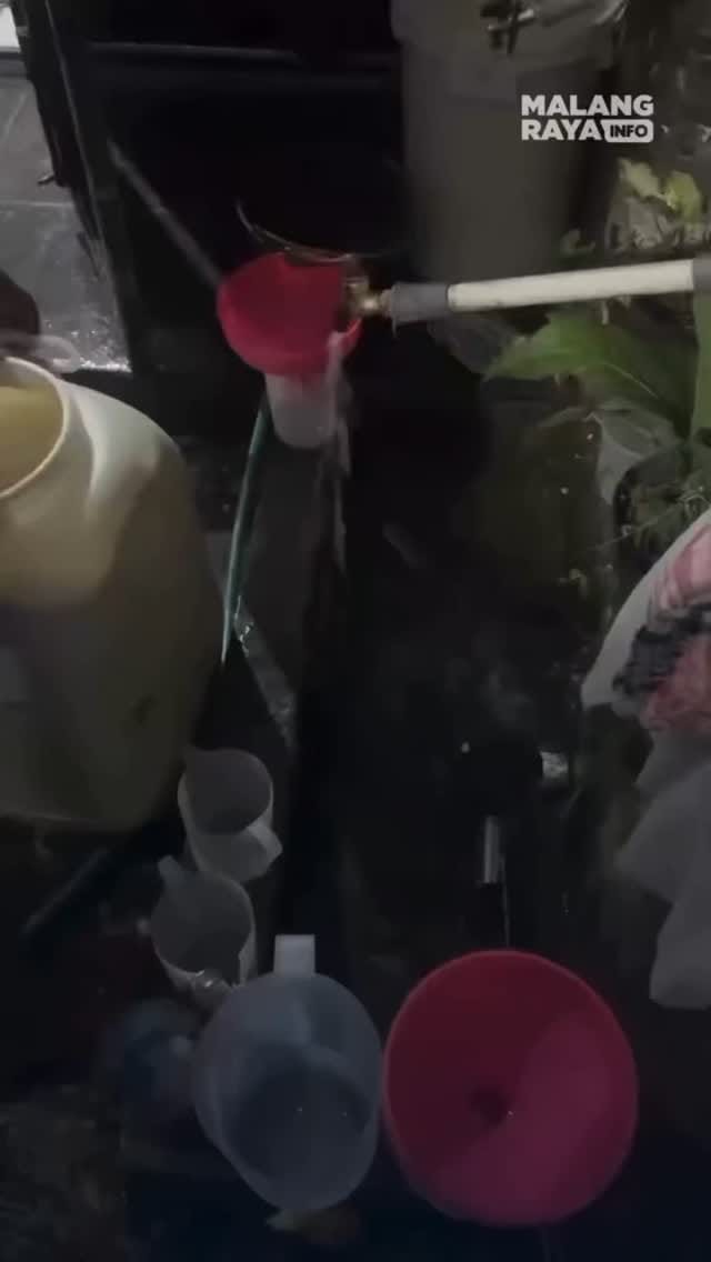 Post 3 by keju mozarella on Instagram (video)