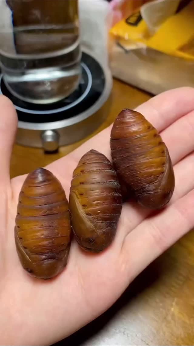 Post 2 by keju mozarella on Instagram (video)