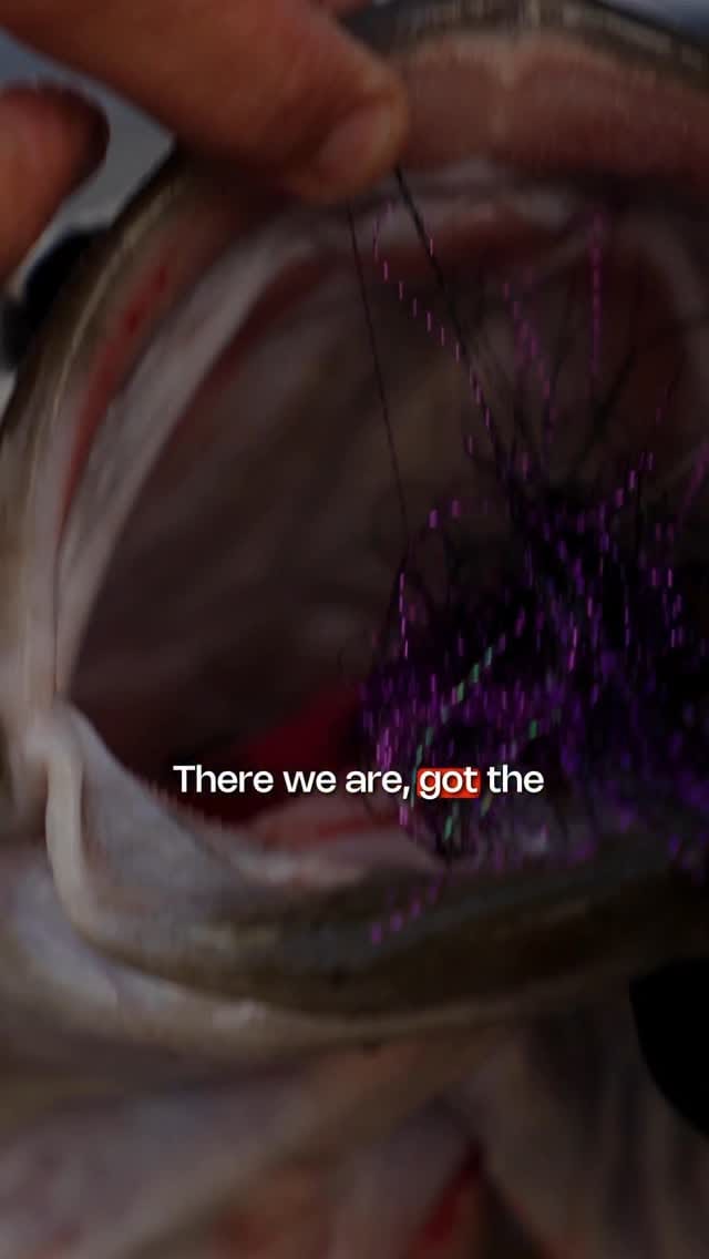 Post 8 by Gage wright/Spin Wright on Instagram (video)