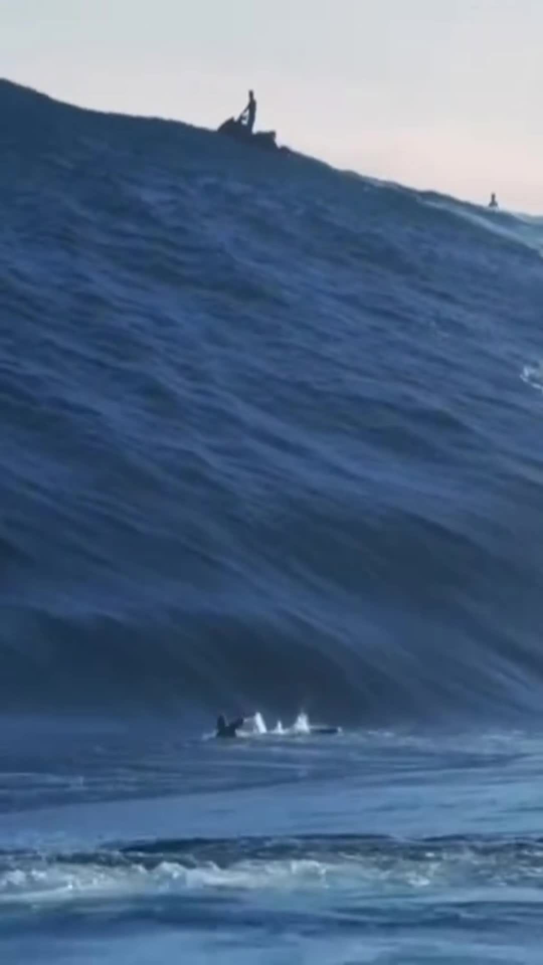 Post 10 by Welcome Board Store on Instagram (video)