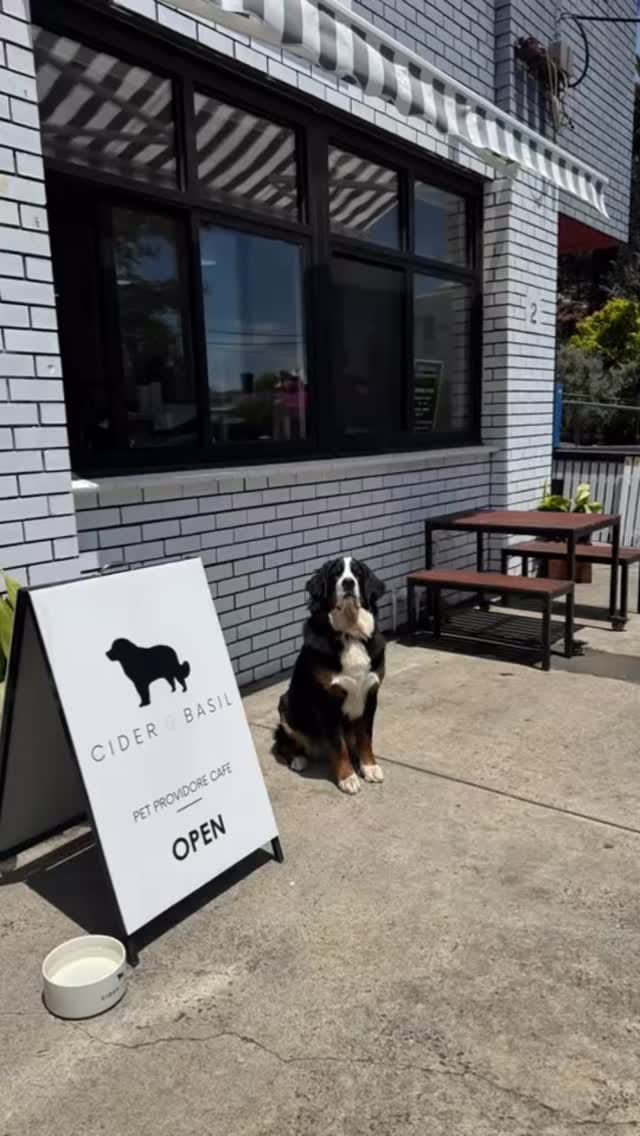 Post 6 by CIDER & BASIL on Instagram (video)