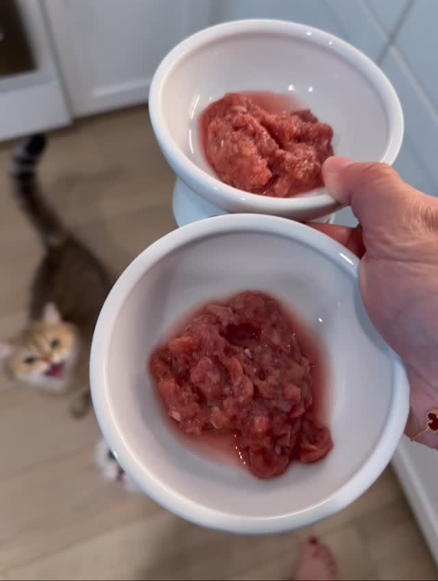 Post 5 by ͏͏𝐿𝑒𝑜 𝑎𝑛𝑑 𝑅𝑒𝑦 ★☾ ᴮˢᴴ on Instagram (video)