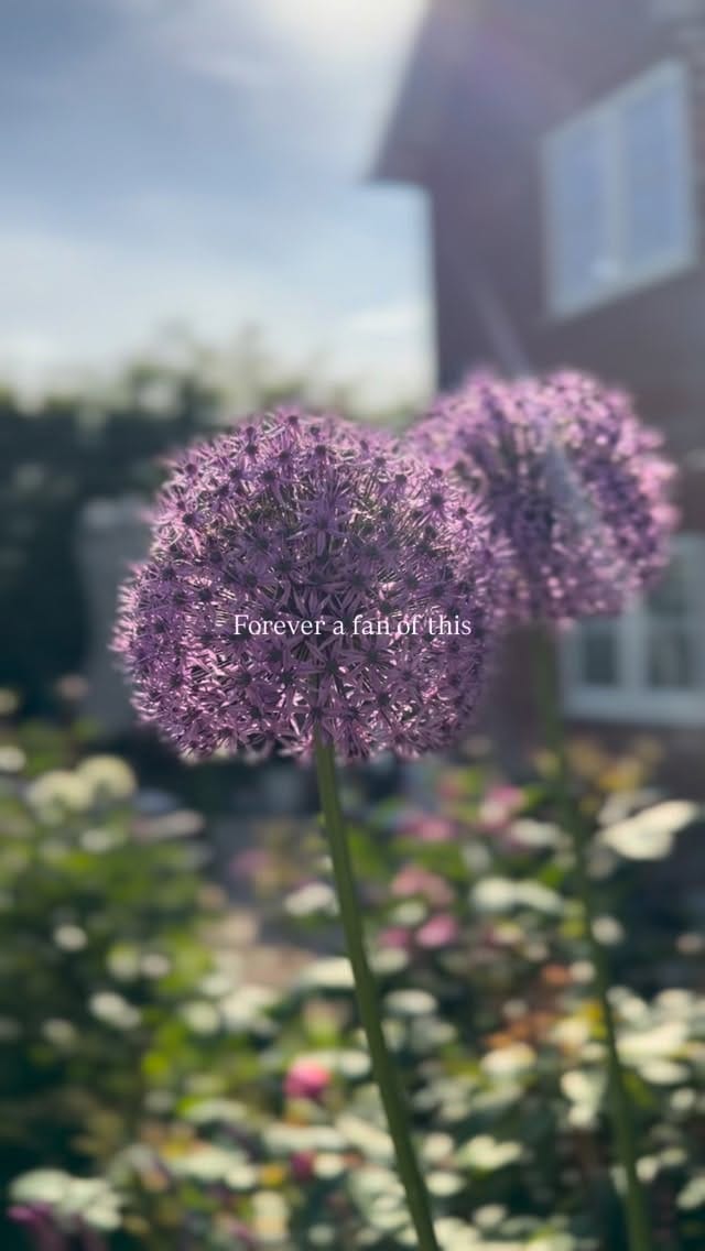 Post 4 by Becca | Interiors & Garden on Instagram (video)