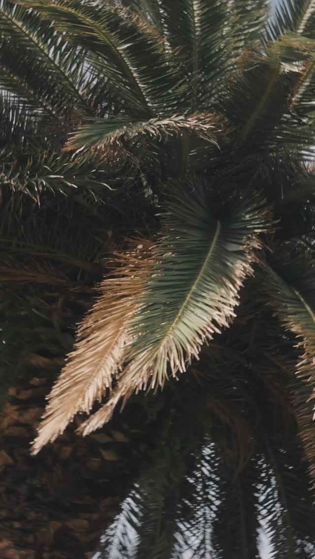 Post 9 by Czuczu on Instagram (video)