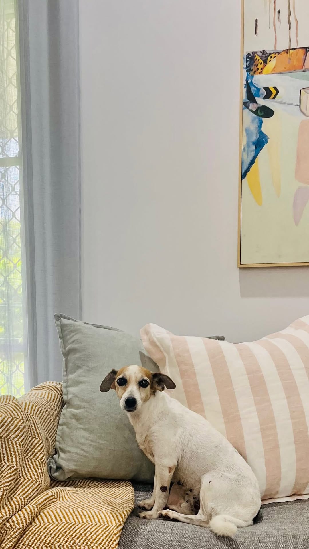 Post 1 by JMJ Interiors  | Interior Design Darwin on Instagram (video)