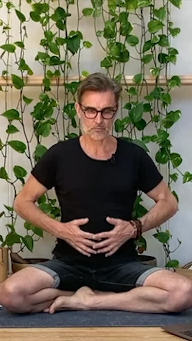 Post 3 by InYoga. Retreats, Teacher Training, Online Yoga on Instagram (video)