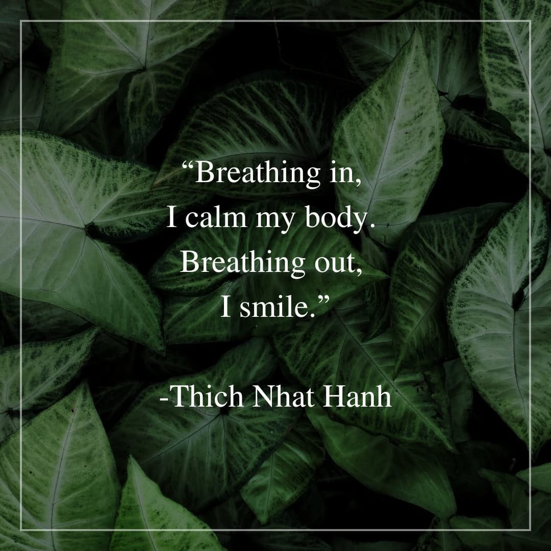 Post 4 by InYoga. Retreats, Teacher Training, Online Yoga on Instagram (image)