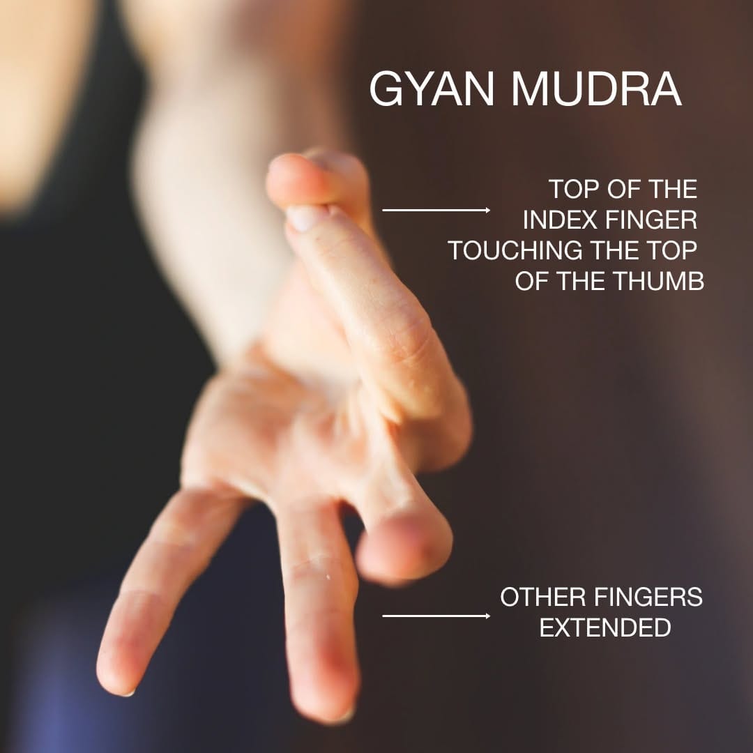 Post 5 by InYoga. Retreats, Teacher Training, Online Yoga on Instagram (image)