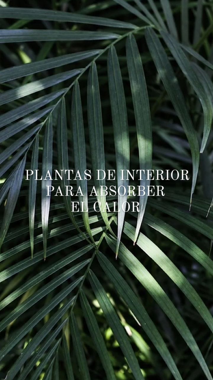 Post 8 by Arquitectura y Diseño de Interiores Wellness Cancún on Instagram (video)