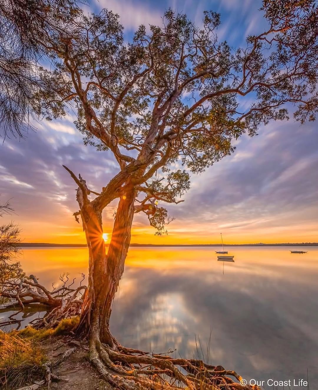 Post 1 by OurCoastLife.com.au on Instagram (image)