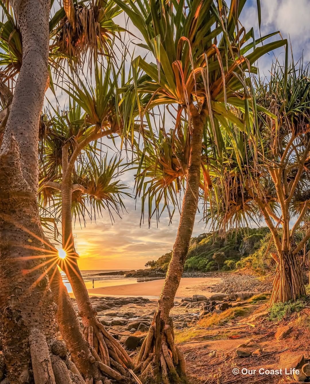 Post 10 by OurCoastLife.com.au on Instagram (image)