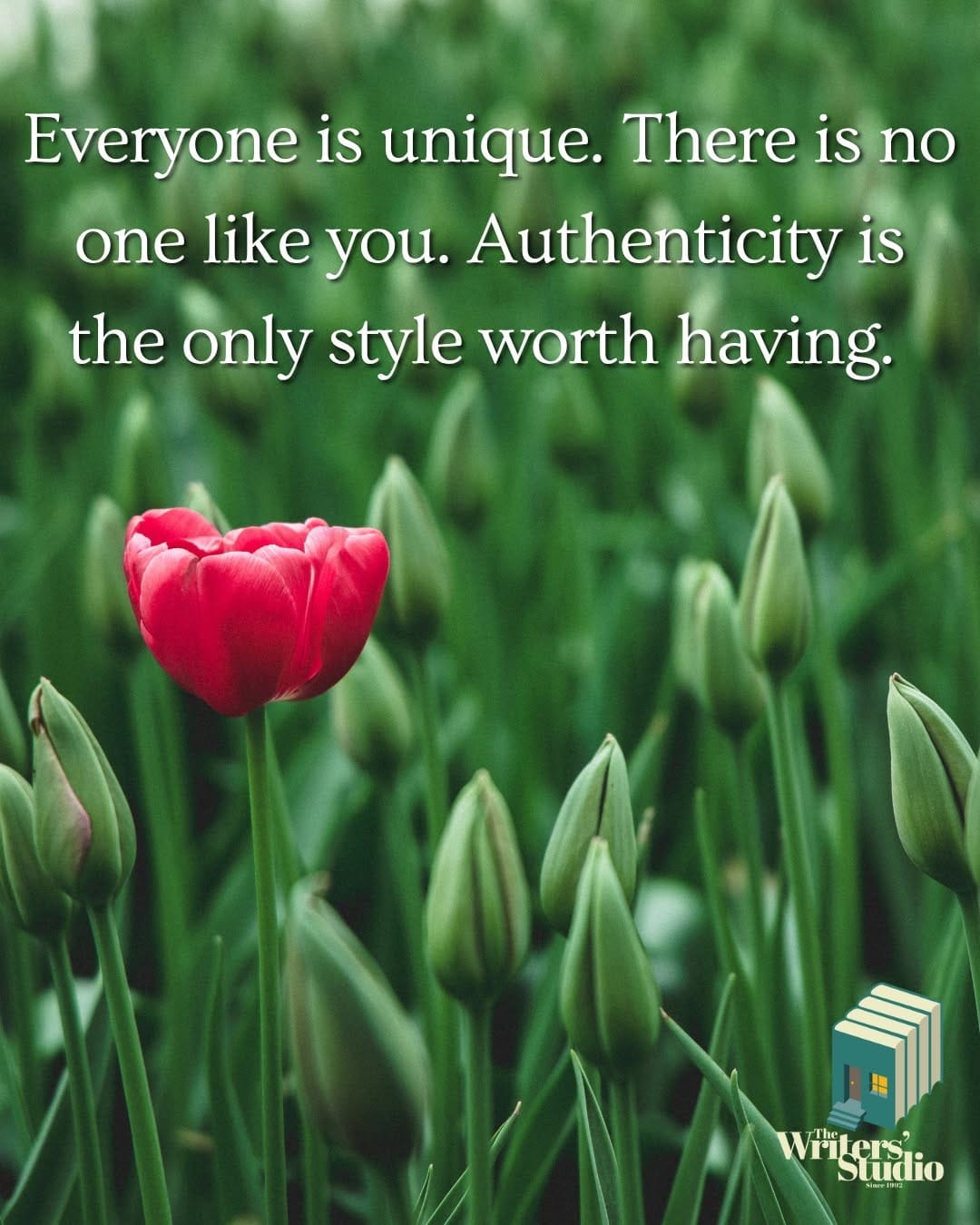 Post 7 by The Writers' Studio on Instagram (image)