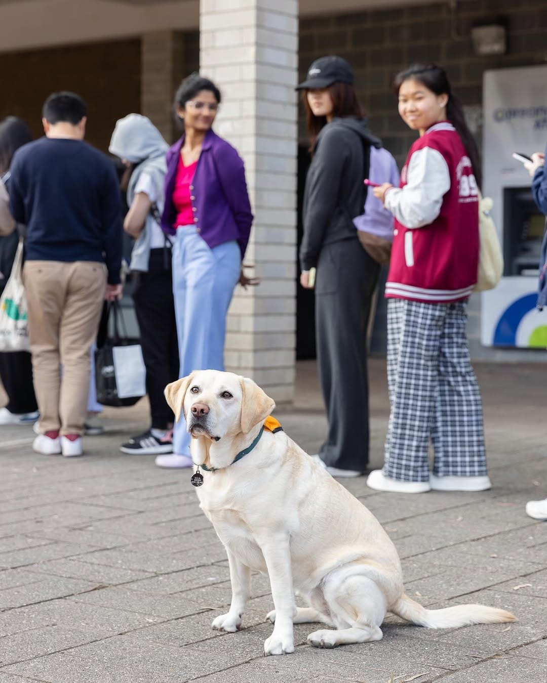 Post 2 by University of Canberra on Instagram (carousel)