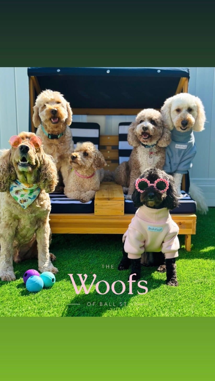 Post 9 by The Woofs Of Ball St. on Instagram (video)