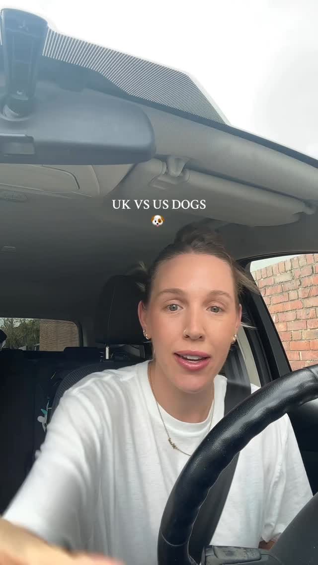 Post 7 by Paige Wester on Instagram (video)
