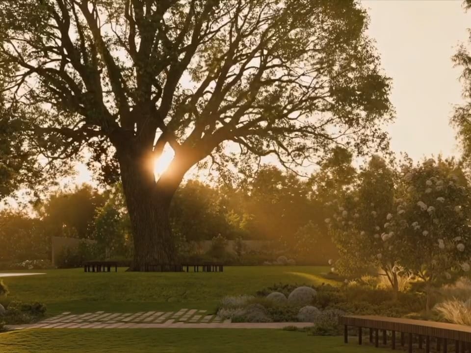 Post 10 by Carr on Instagram (video)
