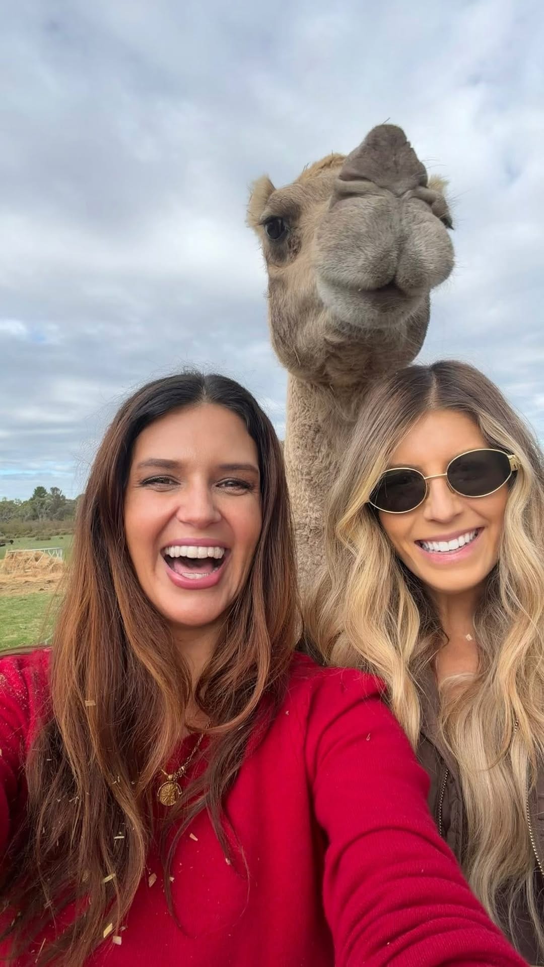 Post 5 by Jess Rolley on Instagram (video)
