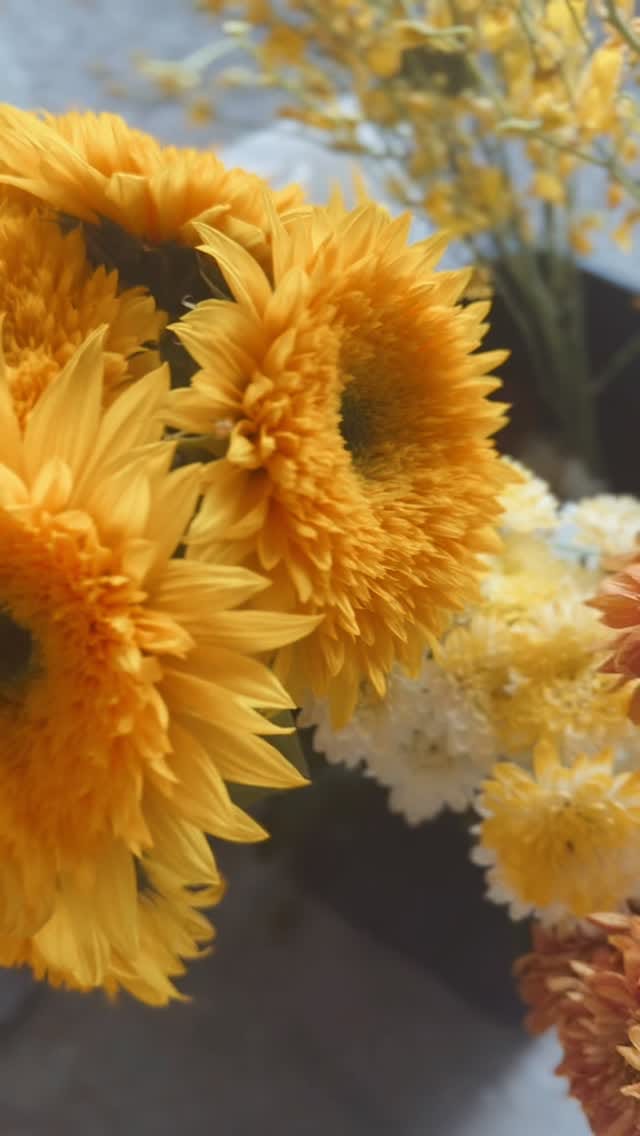Post 2 by Gumtreekids on Instagram (video)