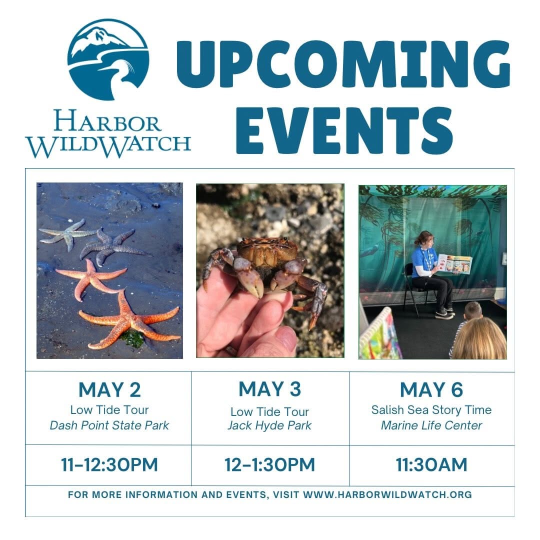 Post 9 by Harbor WildWatch on Instagram (carousel)