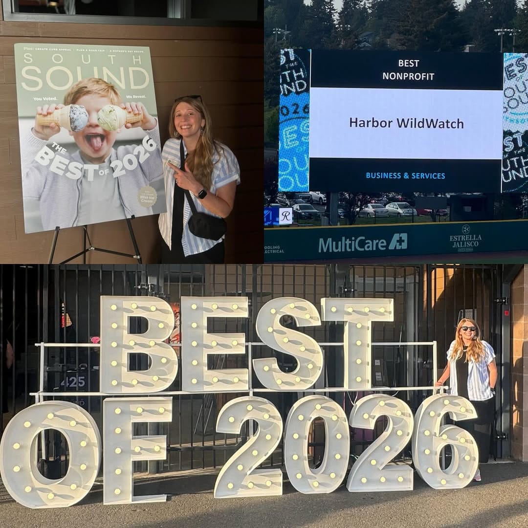 Post 6 by Harbor WildWatch on Instagram (image)