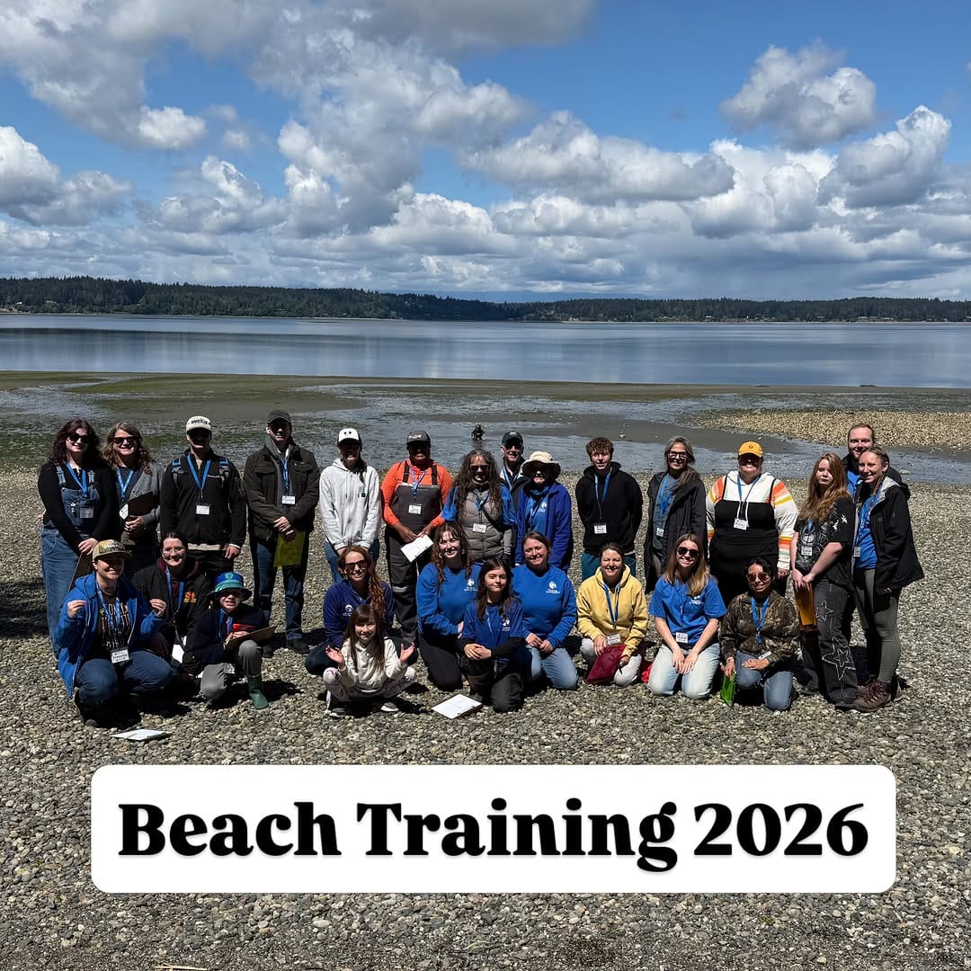Post 2 by Harbor WildWatch on Instagram (image)