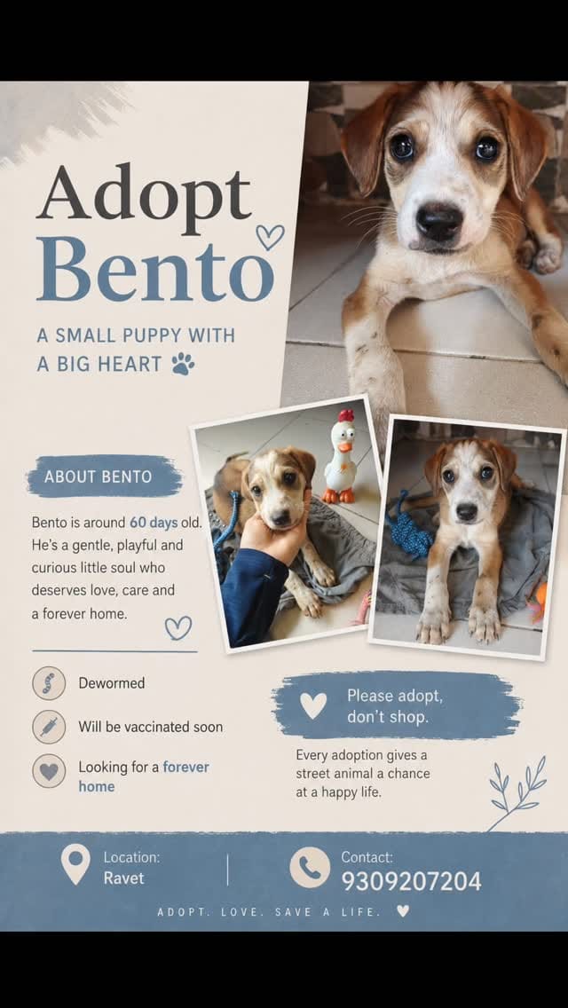 Post 2 by Animal Rescue Community (ARC) on Instagram (video)