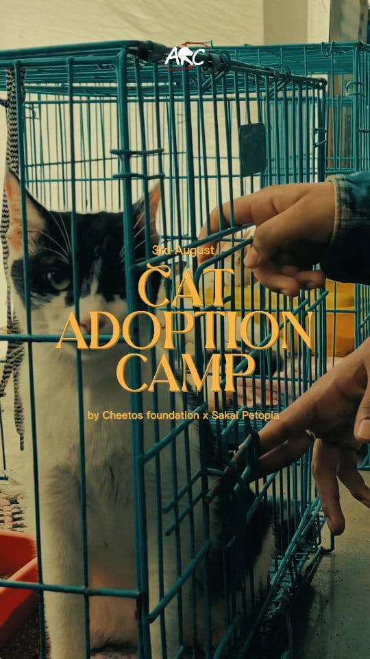 Post 9 by Animal Rescue Community (ARC) on Instagram (video)