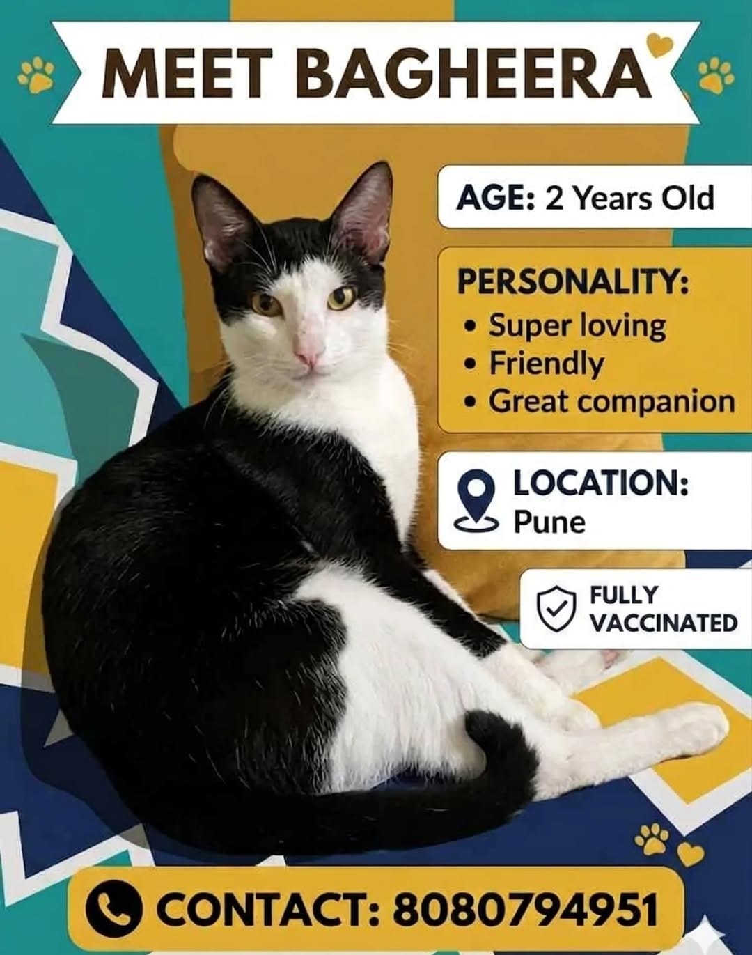 Post 7 by Animal Rescue Community (ARC) on Instagram (carousel)