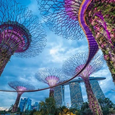 Post 8 by Southern Cross University on Instagram (image)