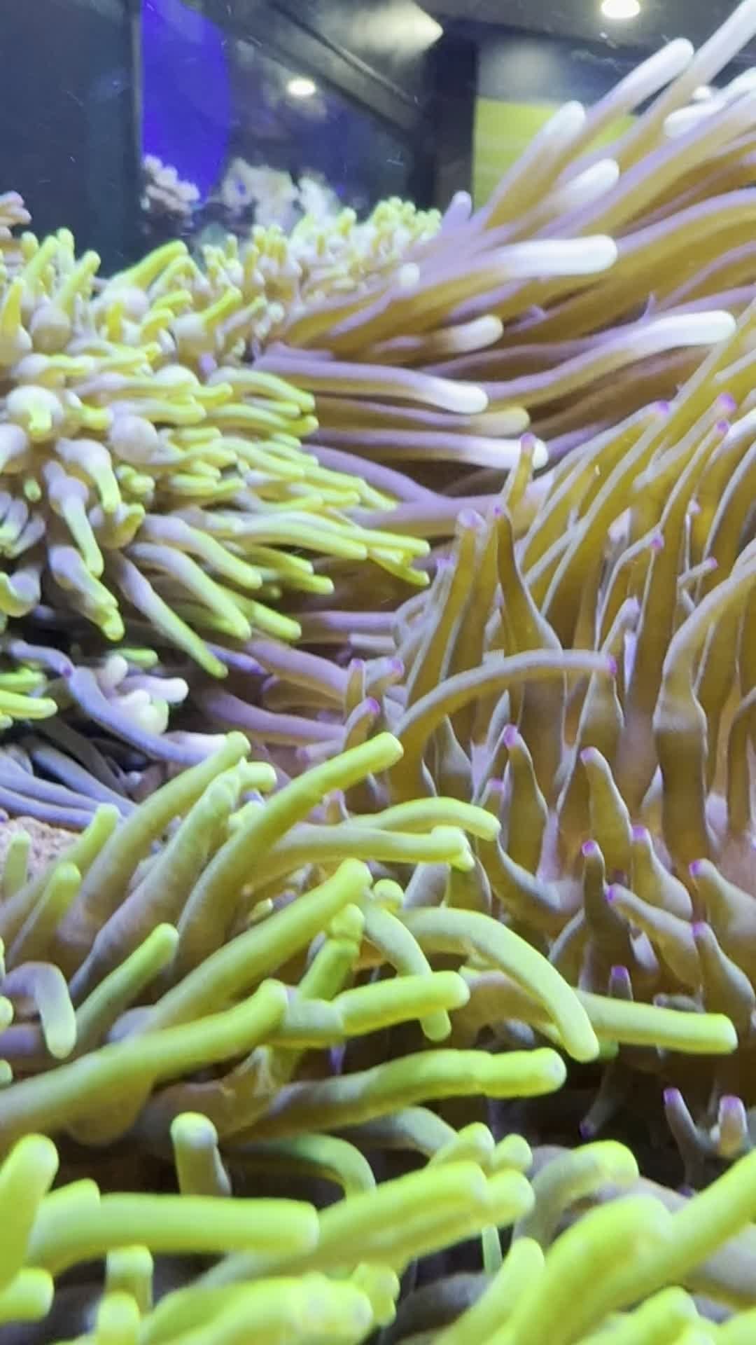 Post 7 by Southern Cross University on Instagram (video)