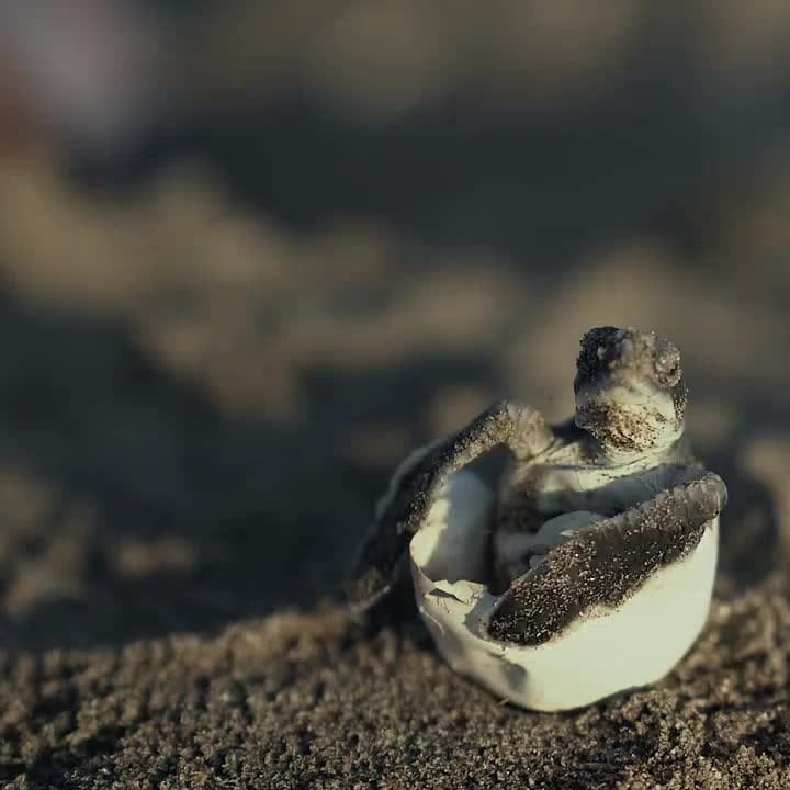 Post 3 by LashEversity™️ on Instagram (video)