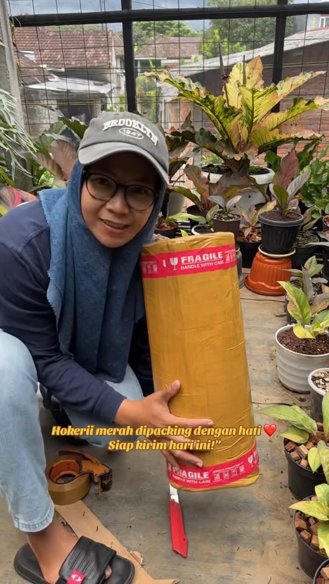 Post 7 by Tanaman hias,Handbouquet dan Landscape on Instagram (video)