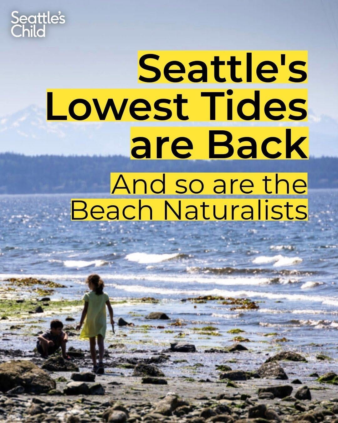 Post 4 by Seattle’s Child on Instagram (image)