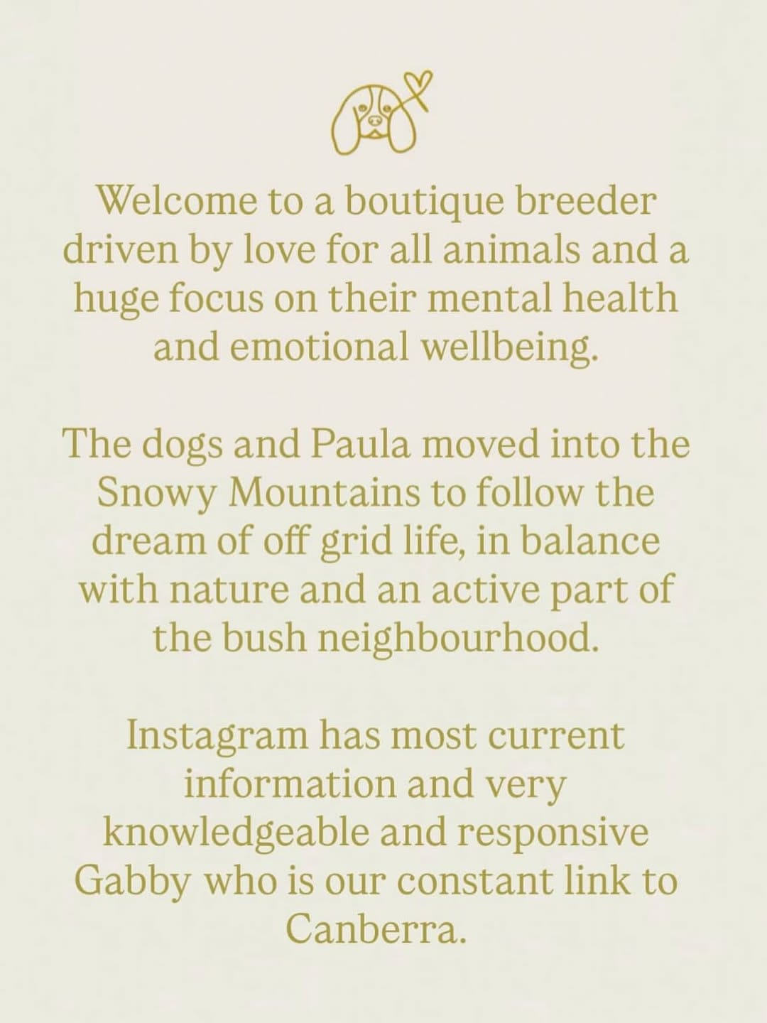 Post 8 by Ethical Breeder of healthy happy AG Cavalier puppies on Instagram (carousel)