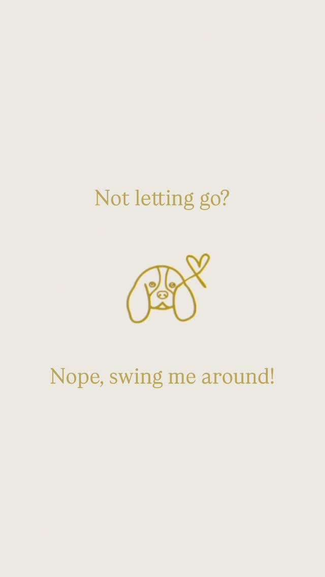 Post 1 by Ethical Breeder of healthy happy AG Cavalier puppies on Instagram (video)
