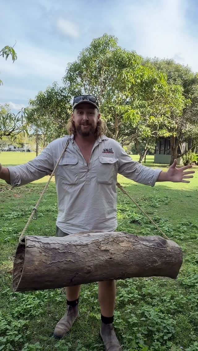 Post 5 by Wildlife Unleashed 🪶 on Instagram (video)
