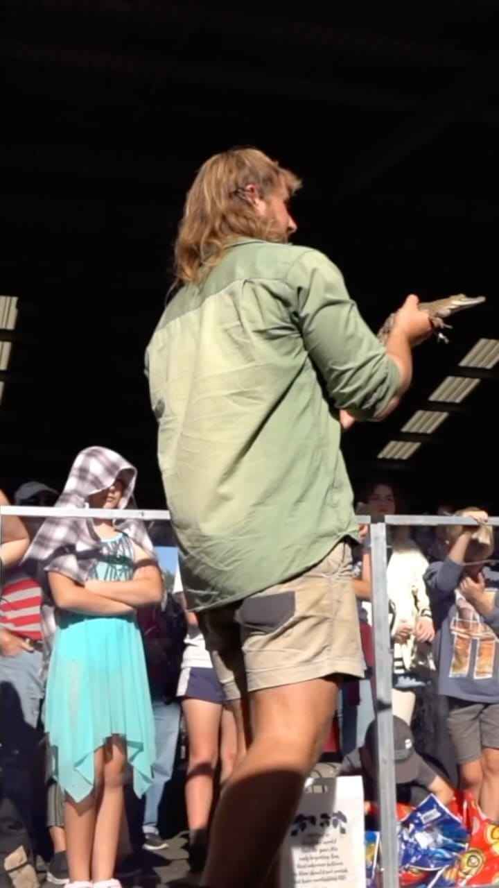 Post 10 by Wildlife Unleashed 🪶 on Instagram (video)