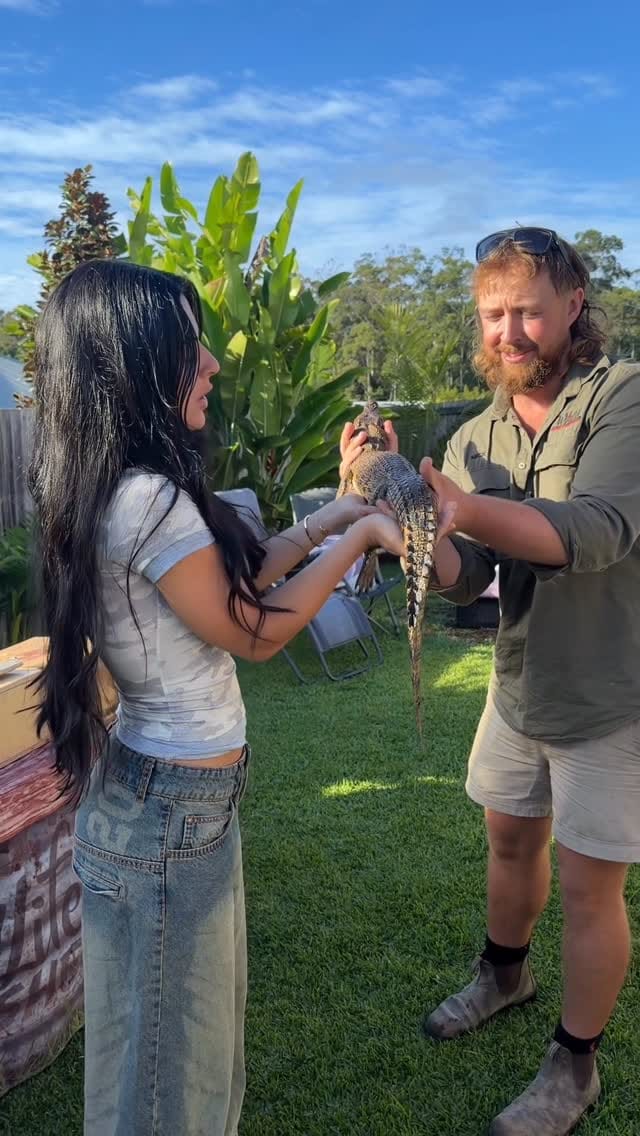 Post 1 by Wildlife Unleashed 🪶 on Instagram (video)